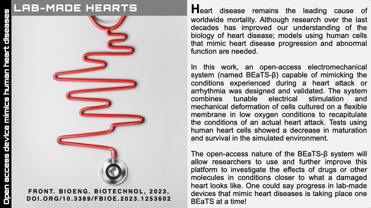 BEaTS-Sci Comm