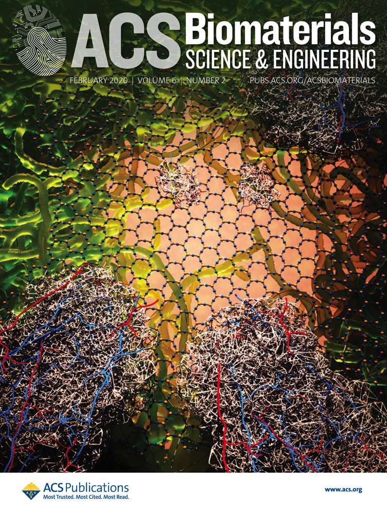 Nano and collagen-based materials for skin repair
