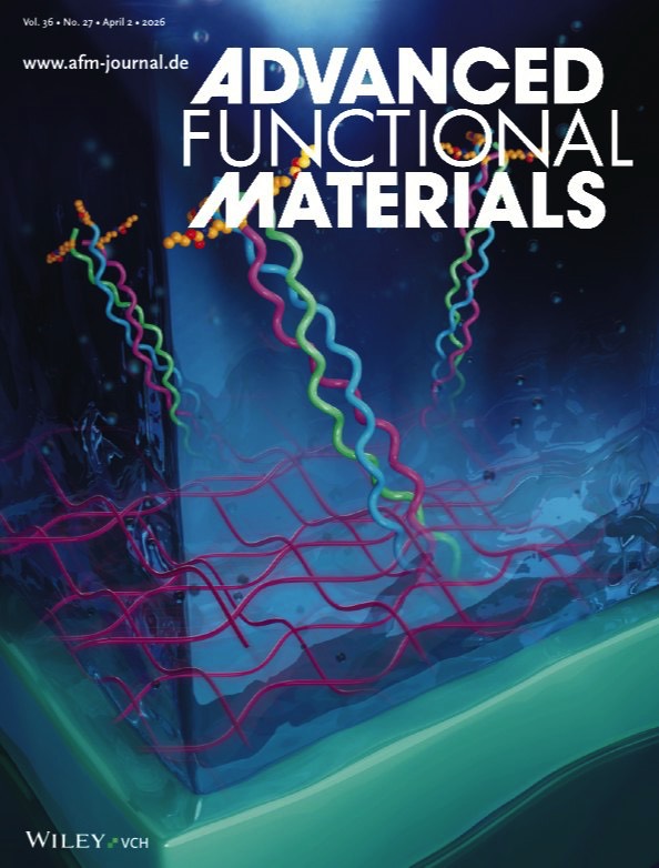 Photoactivated peptide hydrogels for soft tissue adhesion