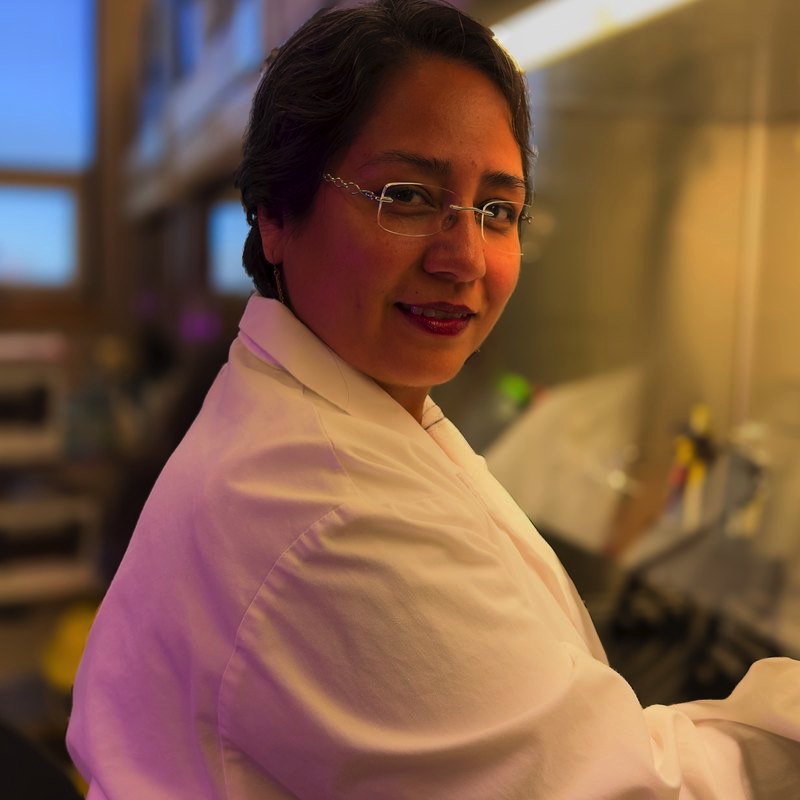 Violeta Guadarrama Perez, PhD